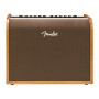 FENDER Acoustic 100