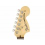 FENDER American Performer Stratocaster RW Honey Burst