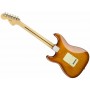 FENDER American Performer Stratocaster RW Honey Burst