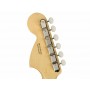 FENDER American Performer Stratocaster RW Honey Burst