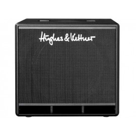 HUGHES & KETTNER TS 112 PRO Cabinet