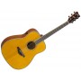 YAMAHA FGTA Vintage Tint