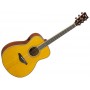 YAMAHA TransAcoustic FSTA Vintage Tint