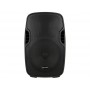 GEMINI AS-10P-150 Watt RMS