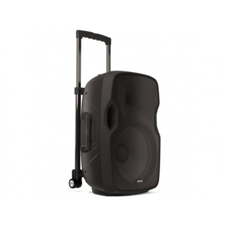 GEMINI AS-10 ToGo-300 Watt RMS