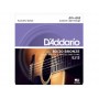 D'ADDARIO EJ13