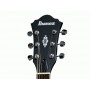 IBANEZ AS53 TKF Transparent Black Flat