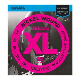 D'ADDARIO EXL170-5