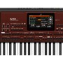 KORG PA700 uscita Video