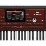 KORG PA700 uscita Video