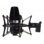 NEUMANN TLM102 Studio Set mt