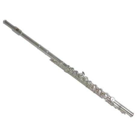 YAMAHA YFL312 CHIAVI CHIUSE FUORI LINEA