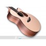 FURCH Blue Gc-sw Eas-vtc Cutaway Elec.