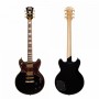 D'Angelico DELUXE BRIGHTON BLACK