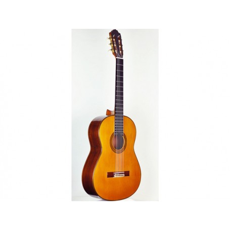 PAULINO BERNABE Chitarra P.bernabe Mod.30 Tavola Cedro