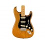 FENDER American Professional II Stratocaster MN Roasted Pine