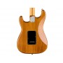FENDER American Professional II Stratocaster MN Roasted Pine