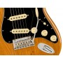 FENDER American Professional II Stratocaster MN Roasted Pine