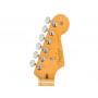 FENDER American Professional II Stratocaster MN Roasted Pine