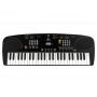 EKO KEYBOARDS Okey 49 + Bag e Alimentatore Omaggio!
