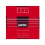 WARWICK Red Label M - 045/135