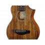 IBANEZ EWP14WB Open Pore Natural