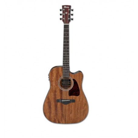 IBANEZ AW54CE OPN