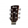 IBANEZ AW54CE OPN