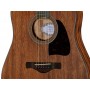 IBANEZ AW54CE OPN