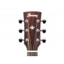 IBANEZ AW65ECE LG