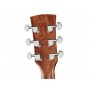 IBANEZ AW65ECE LG