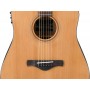 IBANEZ AW65ECE LG