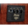 IBANEZ AW65ECE LG