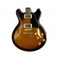 IBANEZ JSM100 VT John Scofield c/astuccio