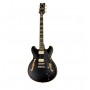 IBANEZ John Scofield JSM20 Black Low Gloss