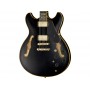 IBANEZ John Scofield JSM20 Black Low Gloss