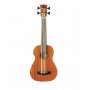 EKO Duo Ukubass Fretless