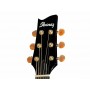 IBANEZ EP5 BP Steve Vai Signature
