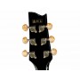 IBANEZ EP5 BP Steve Vai Signature