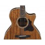 IBANEZ AE245 NT Natural