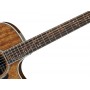 IBANEZ AE245 NT Natural