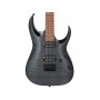 IBANEZ RGA42FM TGF Transparent Gray Flat