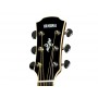 YAMAHA APX700 II Naturale