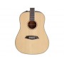 LARRY CARLTON A3-D Dreadnought Natural