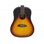LARRY CARLTON A3-D Dreadnought Vintage Sunburst