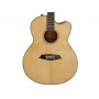 LARRY CARLTON A3-G Cutaway Natural