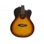 LARRY CARLTON A3-G Cutaway Vintage Sunburst