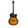 LARRY CARLTON A3-G Cutaway Vintage Sunburst