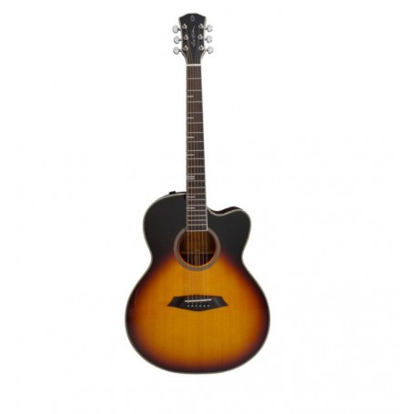 LARRY CARLTON A4-G Cutaway Vintage Sunburst
