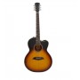 LARRY CARLTON A4-G Cutaway Vintage Sunburst